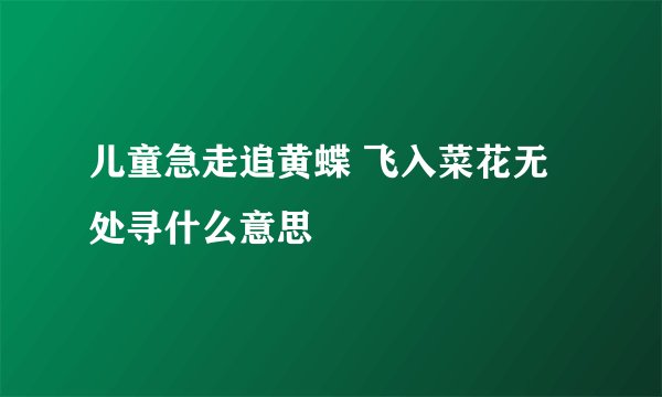 儿童急走追黄蝶 飞入菜花无处寻什么意思