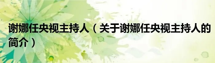 谢娜任央视主持人（关于谢娜任央视主持人的简介）