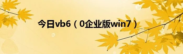 今日vb6（0企业版win7）