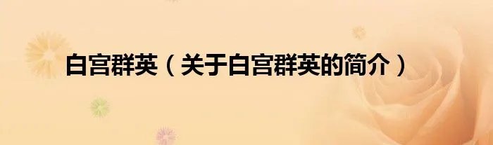 白宫群英（关于白宫群英的简介）