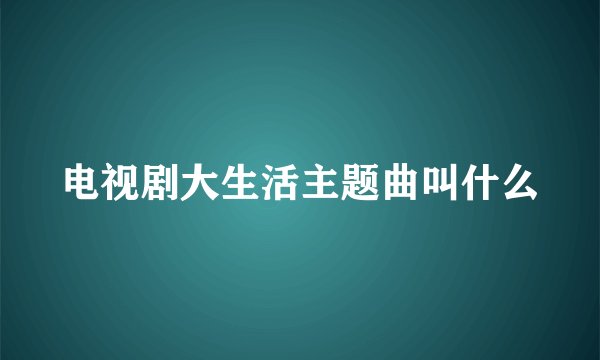 电视剧大生活主题曲叫什么