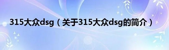 315大众dsg（关于315大众dsg的简介）