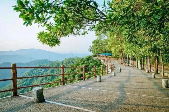 东莞的观音山国家森林公园怎么样？