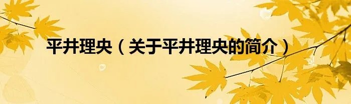 平井理央(关于平井理央的简介)