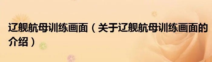 辽舰航母训练画面（关于辽舰航母训练画面的介绍）