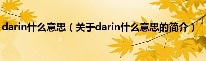 darin什么意思（关于darin什么意思的简介）