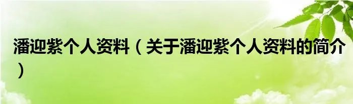 潘迎紫个人资料（关于潘迎紫个人资料的简介）