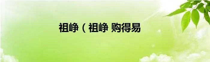 祖峥（祖峥 购得易
