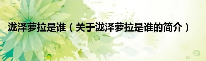 泷泽萝拉是谁（关于泷泽萝拉是谁的简介）