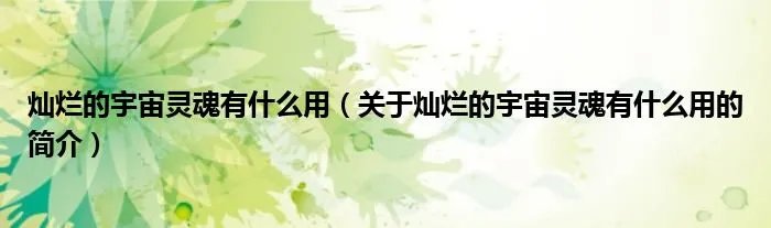 灿烂的宇宙灵魂有什么用（关于灿烂的宇宙灵魂有什么用的简介）