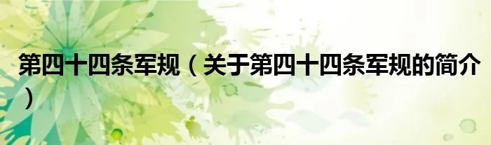 第四十四条军规（关于第四十四条军规的简介）