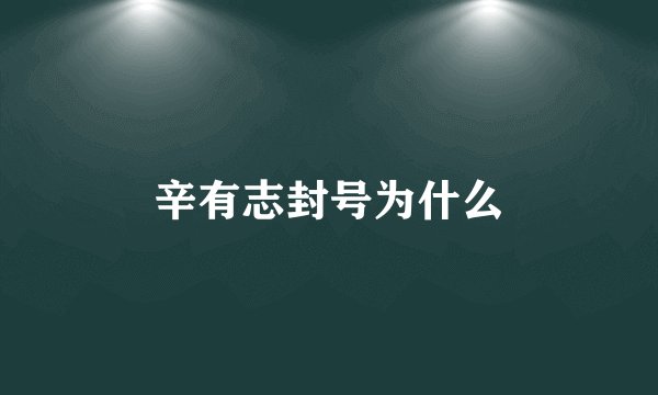 辛有志封号为什么