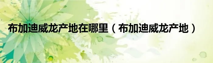 布加迪威龙产地在哪里（布加迪威龙产地）
