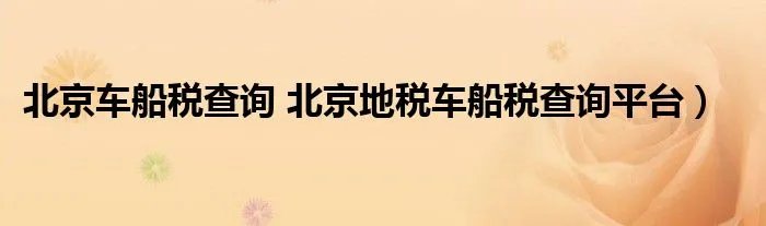北京车船税查询 北京地税车船税查询平台）