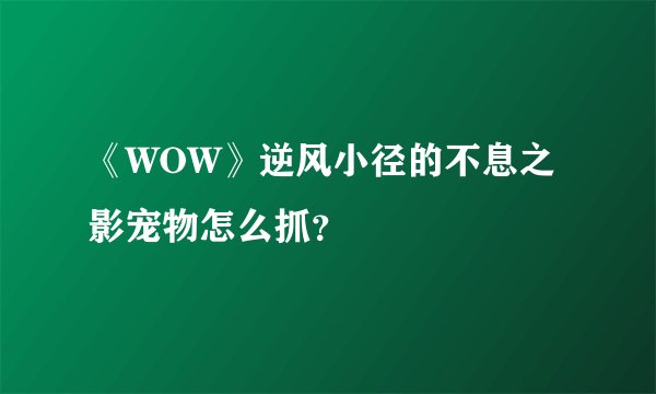 《WOW》逆风小径的不息之影宠物怎么抓？