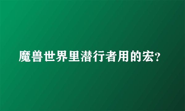 魔兽世界里潜行者用的宏？