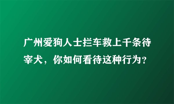 广州爱狗人士拦车救上千条待宰犬,你如何看待这种行为?