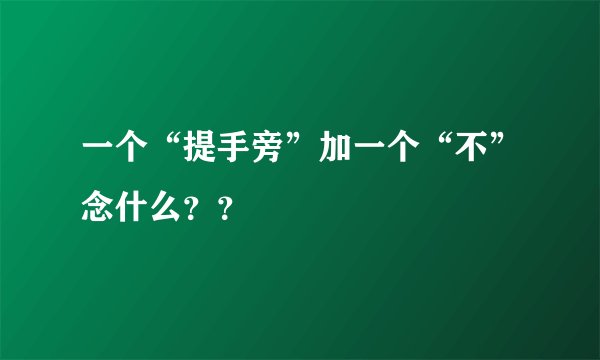 一个“提手旁”加一个“不”念什么？？