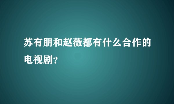 苏有朋和赵薇都有什么合作的电视剧？