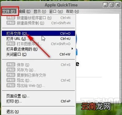quicktime pro编辑视频的操作方法