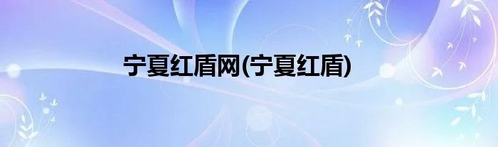 宁夏红盾网(宁夏红盾)