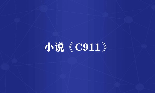 小说《C911》