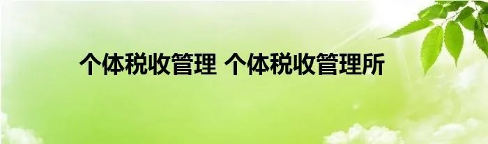 个体税收管理 个体税收管理所