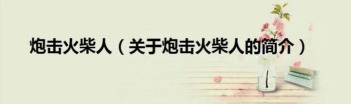 炮击火柴人（关于炮击火柴人的简介）