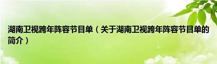 湖南卫视跨年阵容节目单（关于湖南卫视跨年阵容节目单的简介）