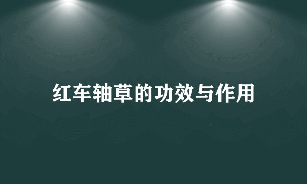 红车轴草的功效与作用