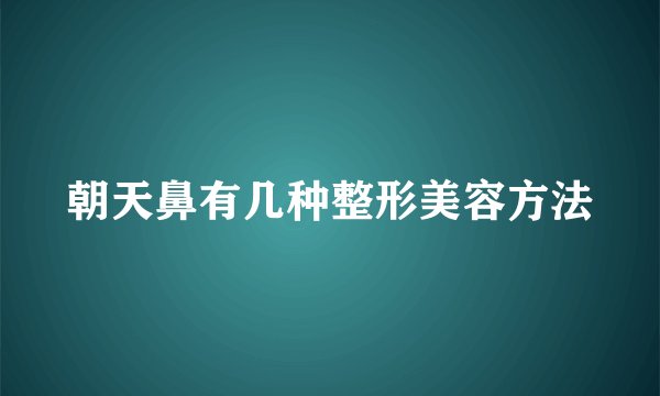 朝天鼻有几种整形美容方法