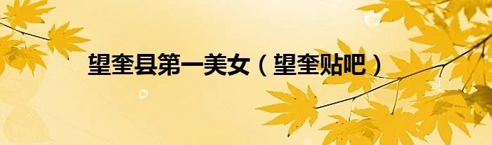 望奎县第一美女（望奎贴吧）
