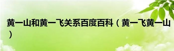 黄一山和黄一飞关系百度百科(黄一飞黄一山)