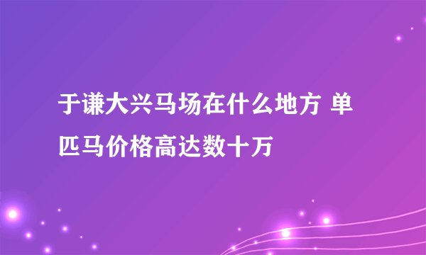 于谦大兴马场在什么地方 单匹马价格高达数十万