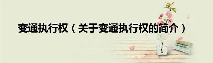 变通执行权（关于变通执行权的简介）