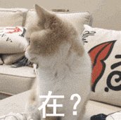 lu一丝为什么决定离婚?你怎么看?