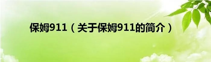 保姆911（关于保姆911的简介）