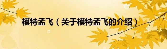模特孟飞（关于模特孟飞的介绍）