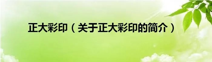 正大彩印（关于正大彩印的简介）