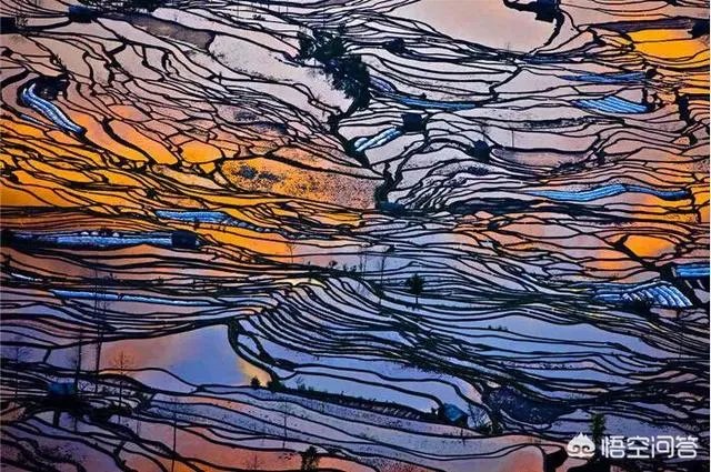 3月份最适合旅游的地方是哪里?