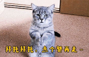 美国新冠确诊病例超40万，你怎么看？