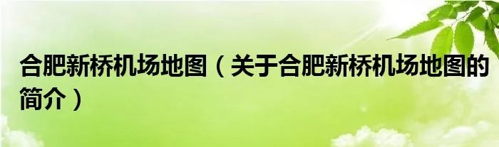 合肥新桥机场地图（关于合肥新桥机场地图的简介）