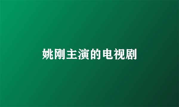 姚刚主演的电视剧