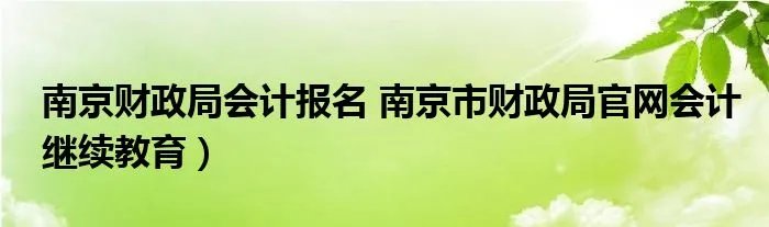 南京财政局会计报名 南京市财政局官网会计继续教育）