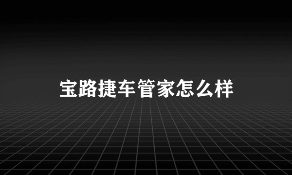 宝路捷车管家怎么样