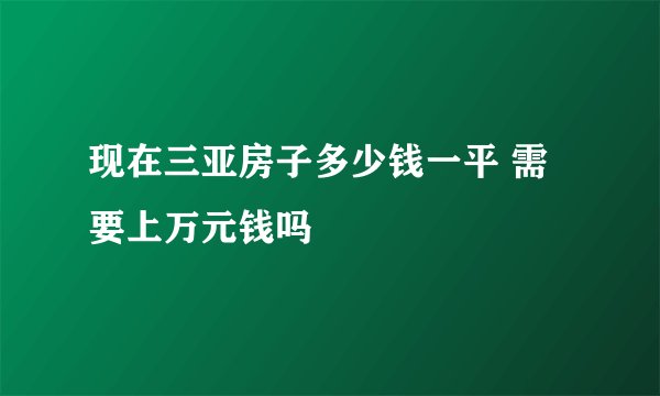 现在三亚房子多少钱一平 需要上万元钱吗