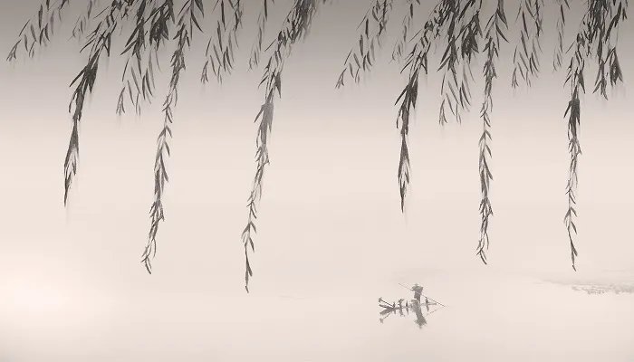 五九六九沿河看柳是什么意思 五九六九河边看柳是指