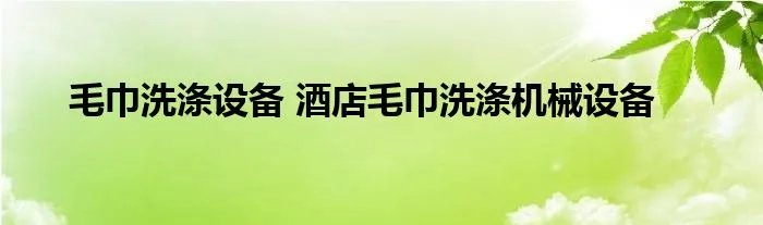 毛巾洗涤设备 酒店毛巾洗涤机械设备
