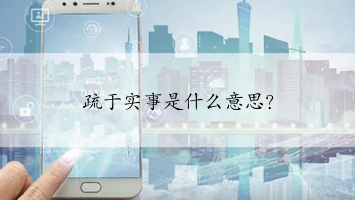 疏于实事是什么意思？