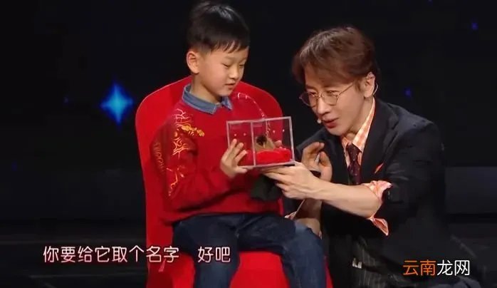 刘谦怎么没有消息了? 刘谦怎么啦?
